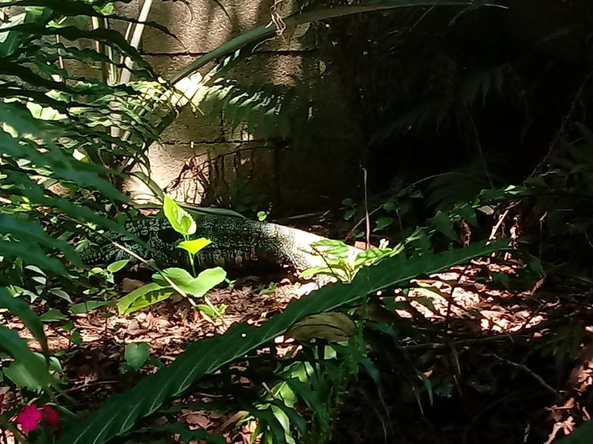 Casa Alquiler En Bombas Bombinhas Villa Dış mekan fotoğraf